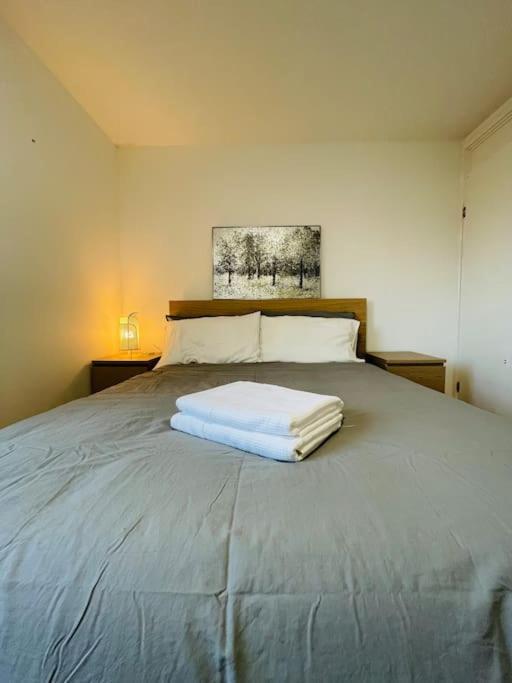 Lovely Duplex Apartment In Edinburgh City Centre Extérieur photo